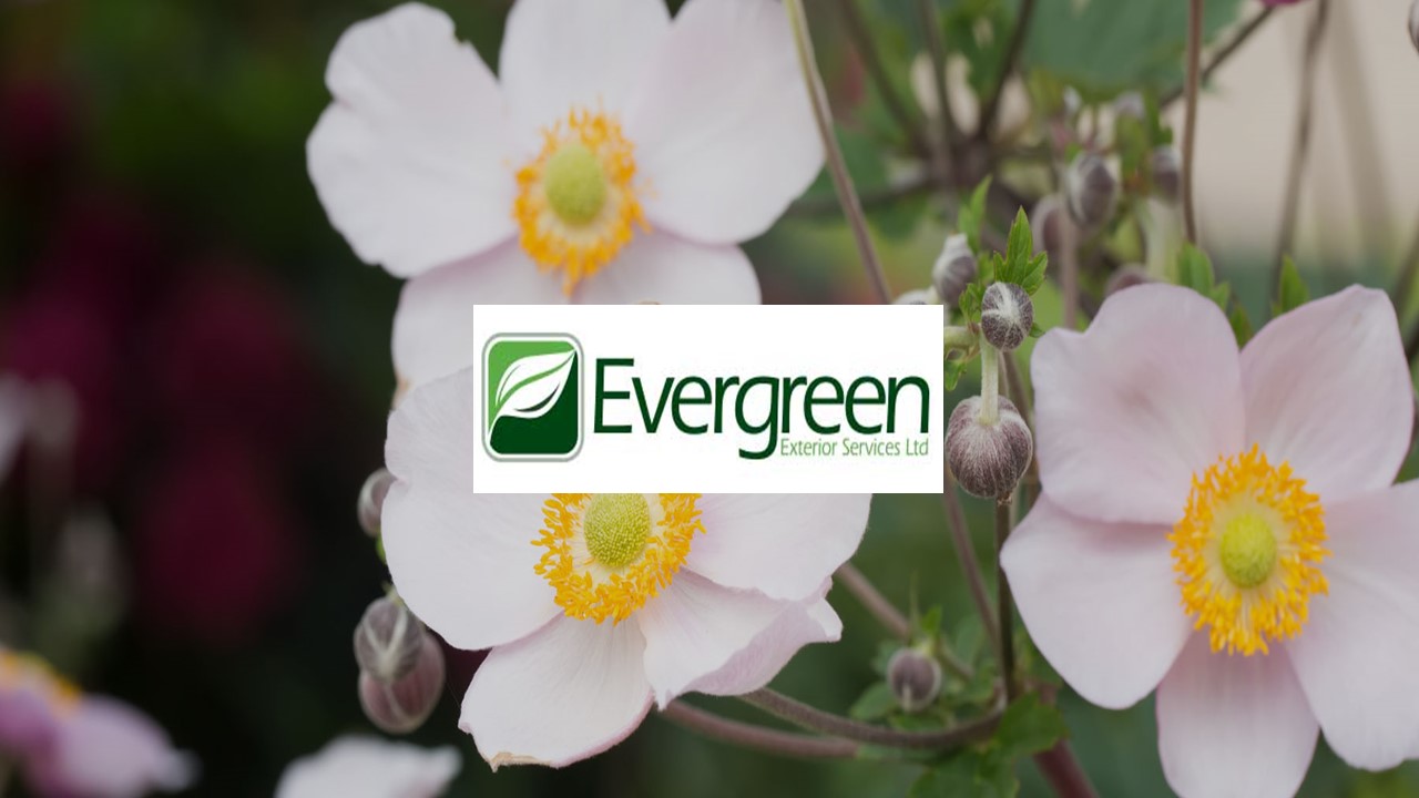 PODStar Project Win: Evergreen Exterior Services